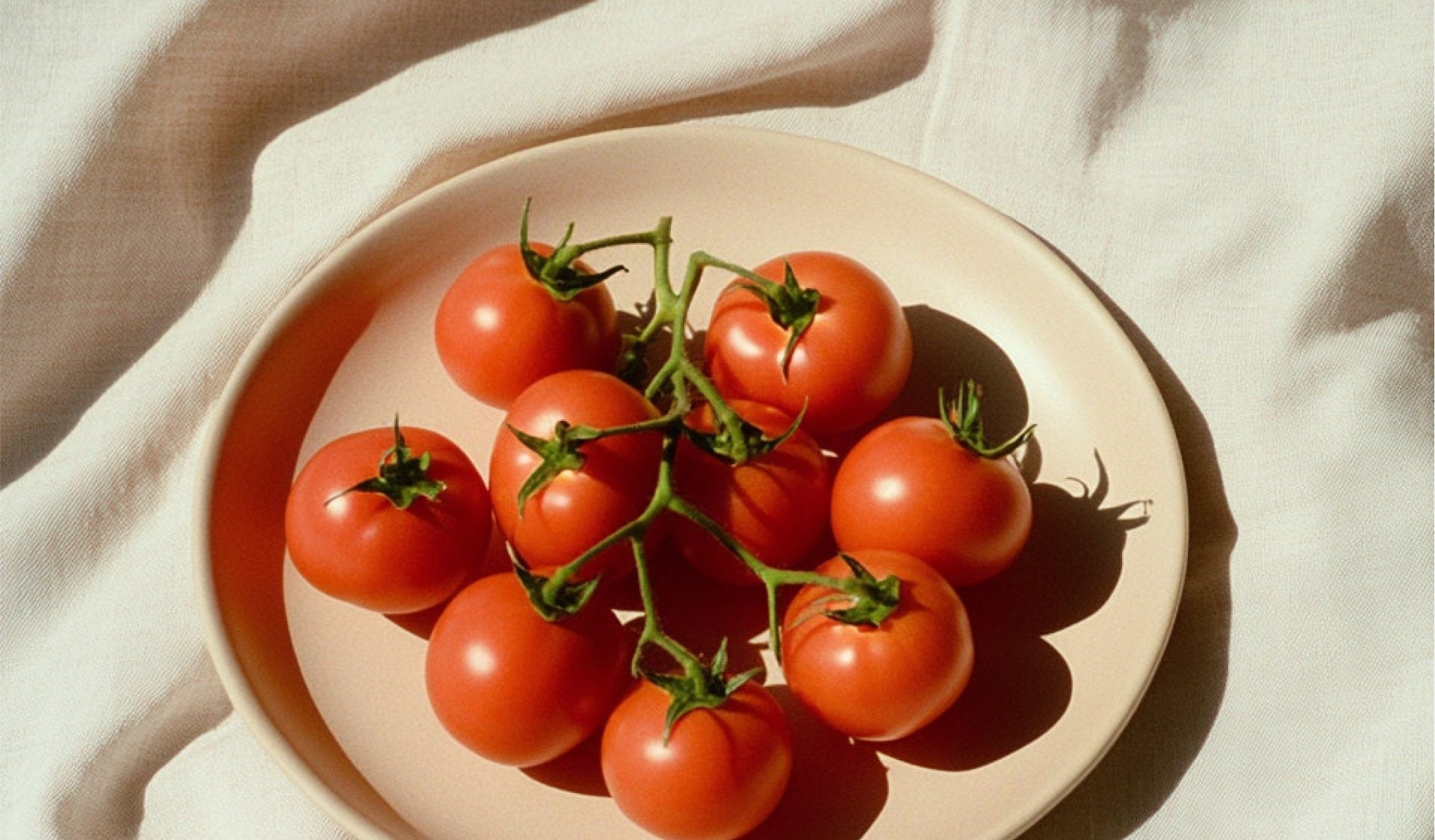 Tomatoes on the Vine
