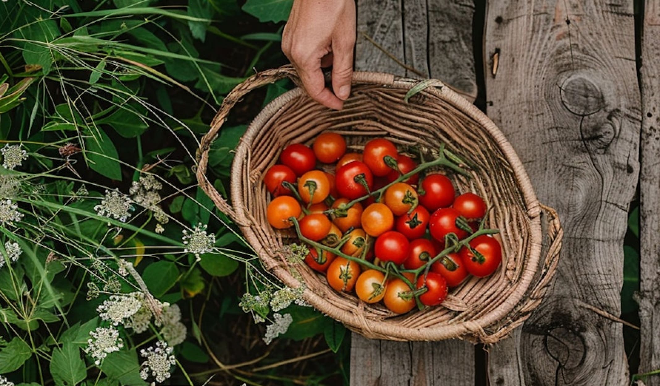 Gifts that feel good to give