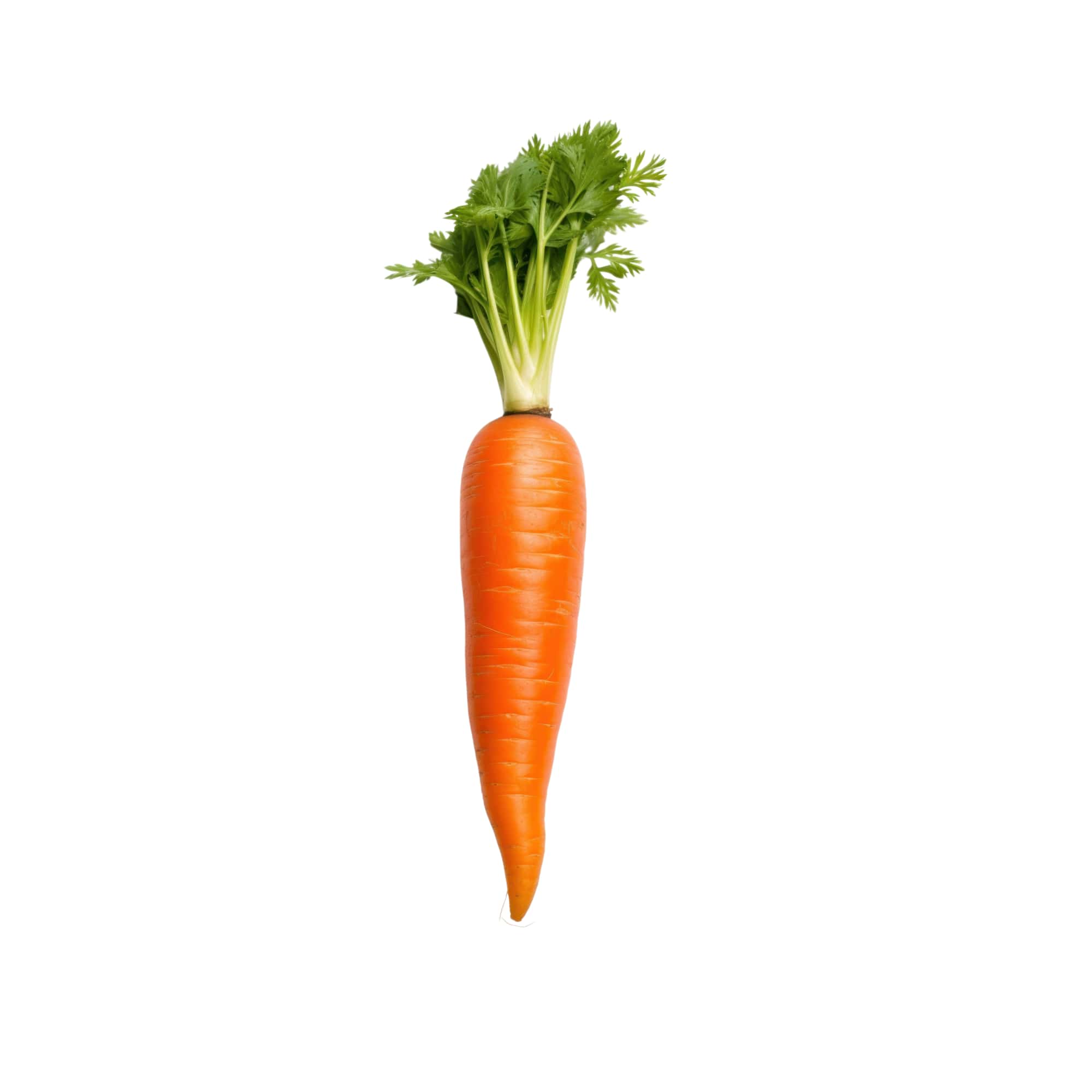 Crunchy Orange Baby Carrots, 1 lb