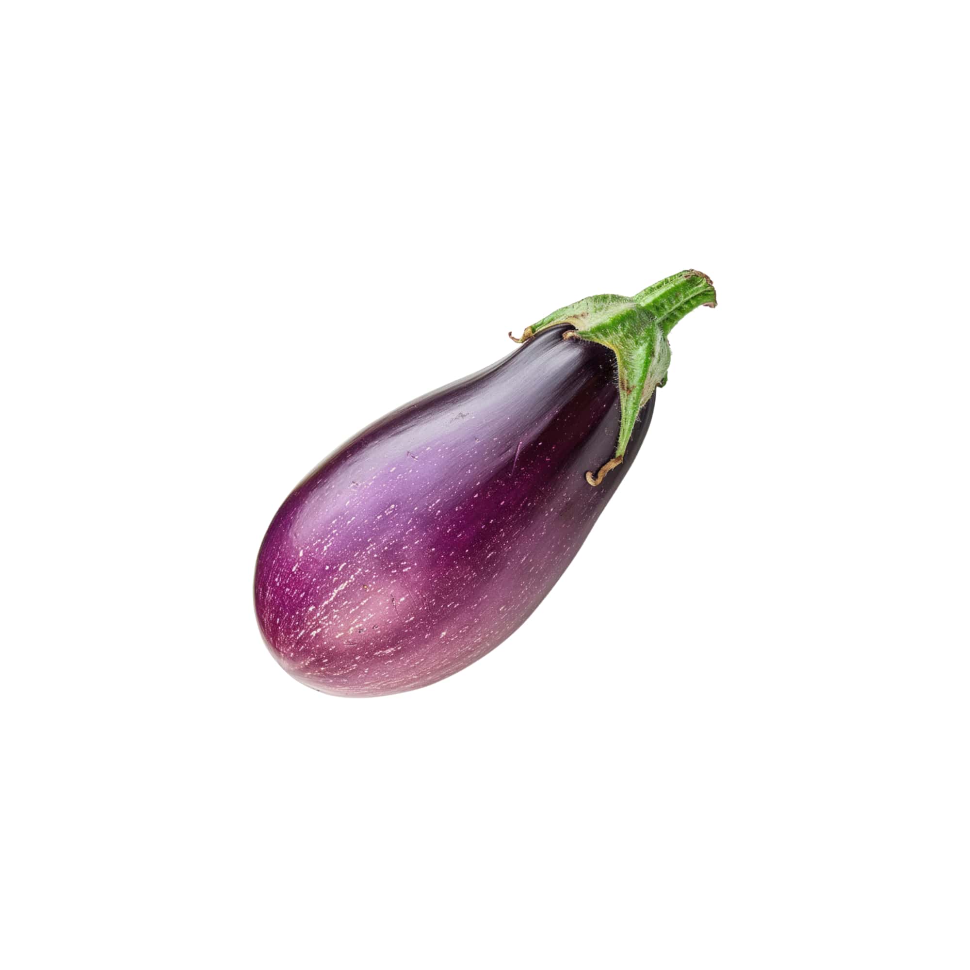 Smooth and Shiny Fresh Eggplants, 1 lb