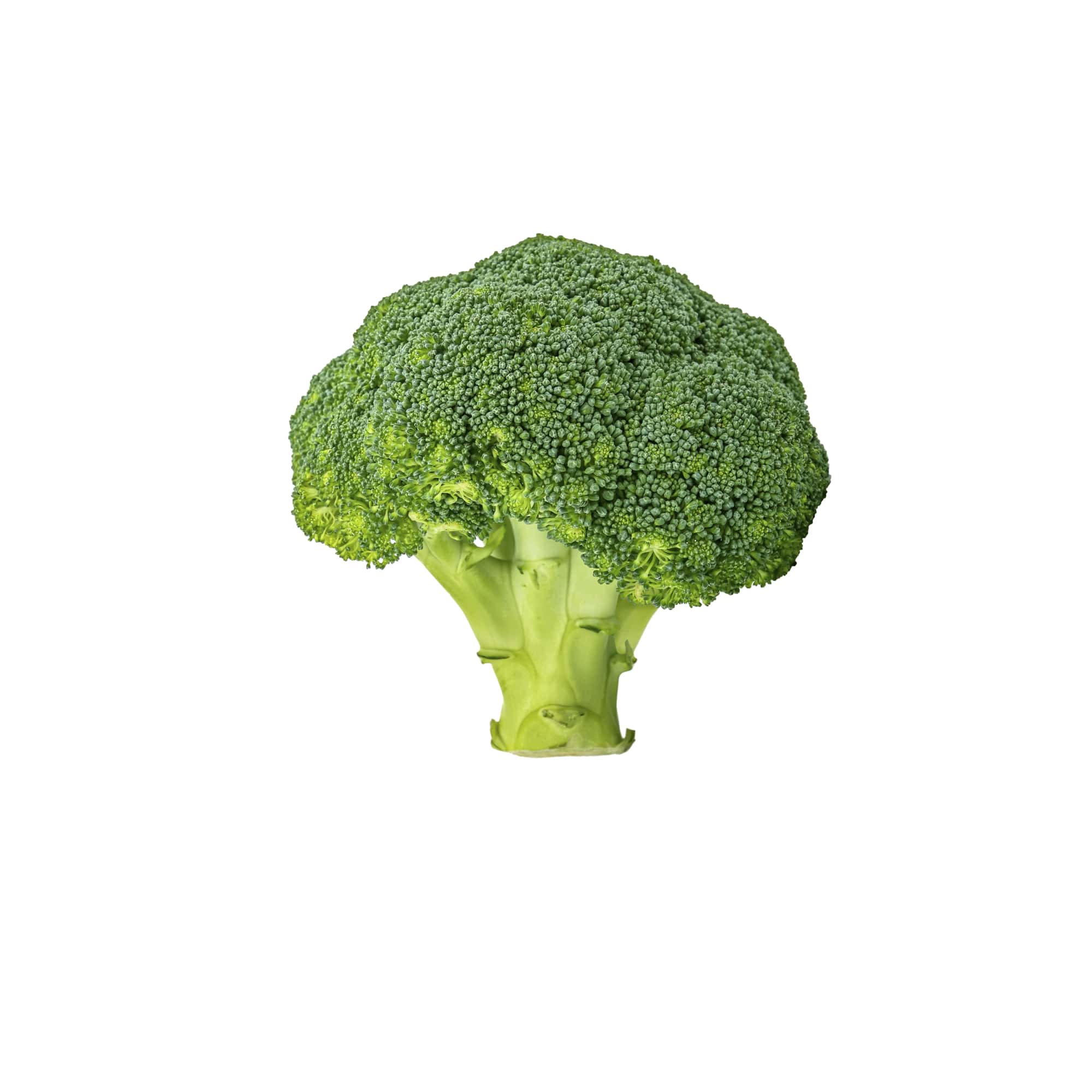 Fresh Harvest Cauliflower Florets, 1 lb