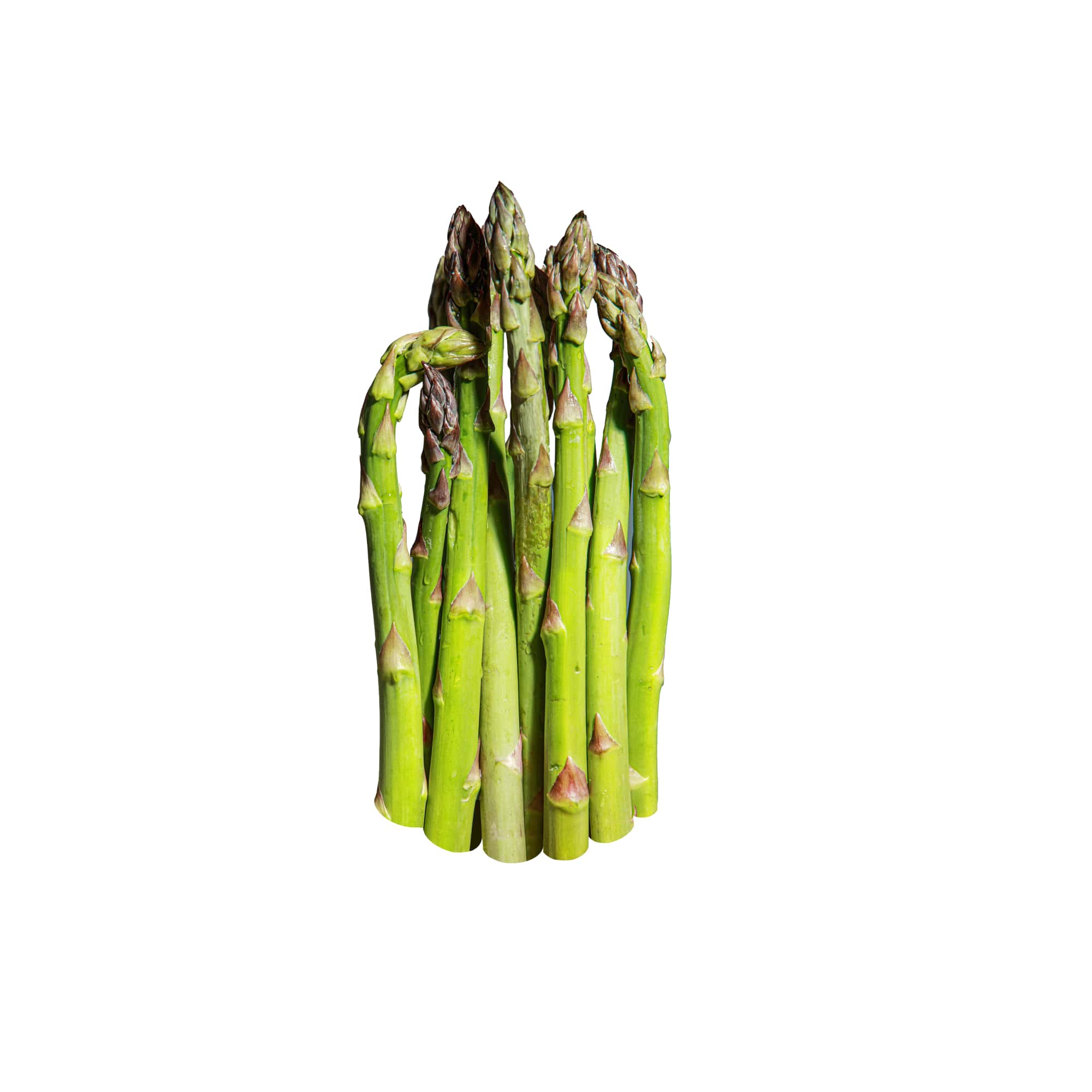 Spring Harvest Asparagus Spears, 1 bunch