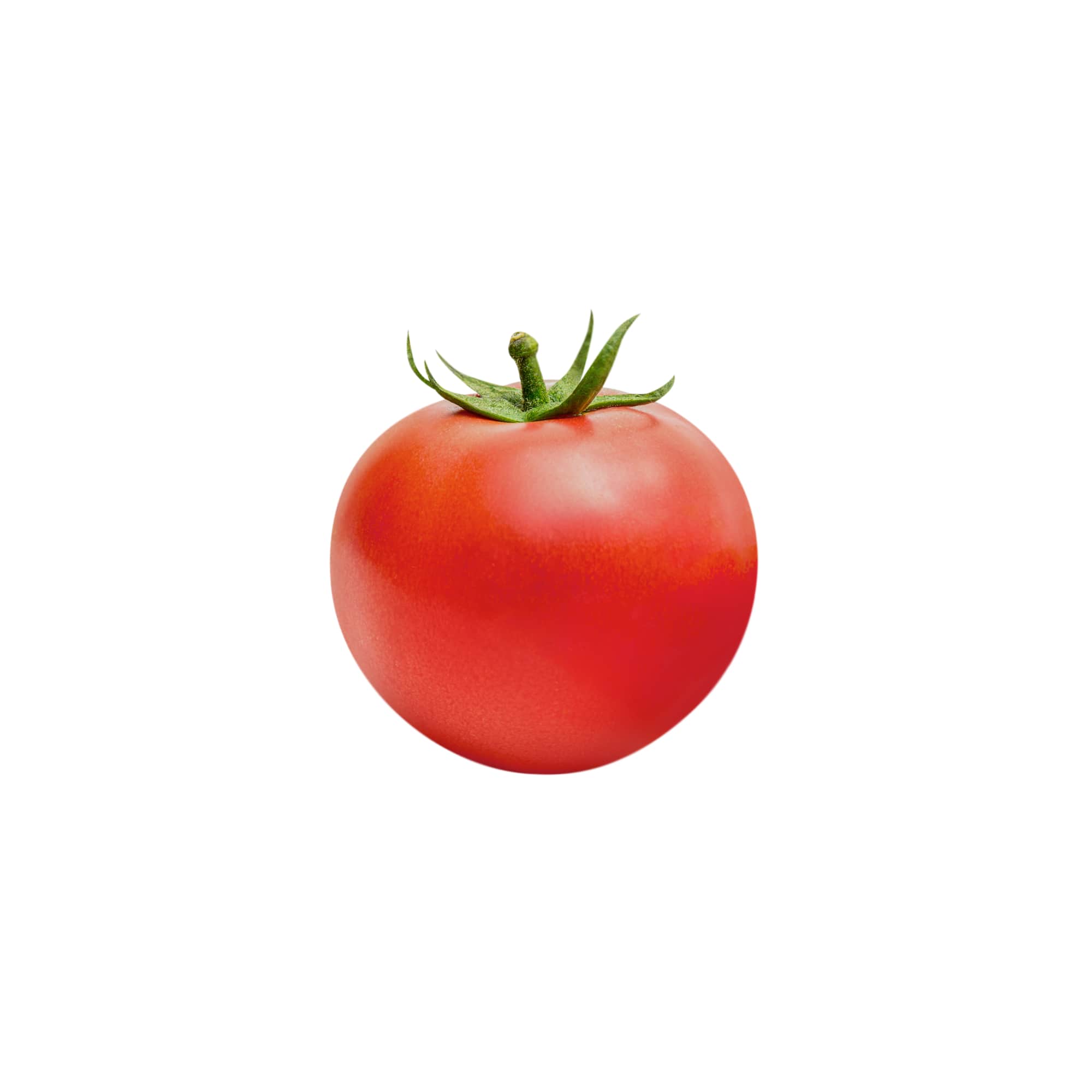 Fresh Organic Heirloom Tomatoes, 1 lb