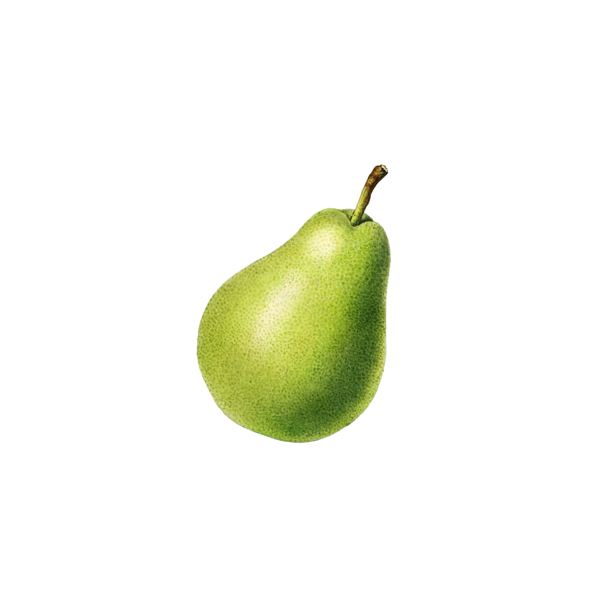 Organic Sweet Pears, 1 lb