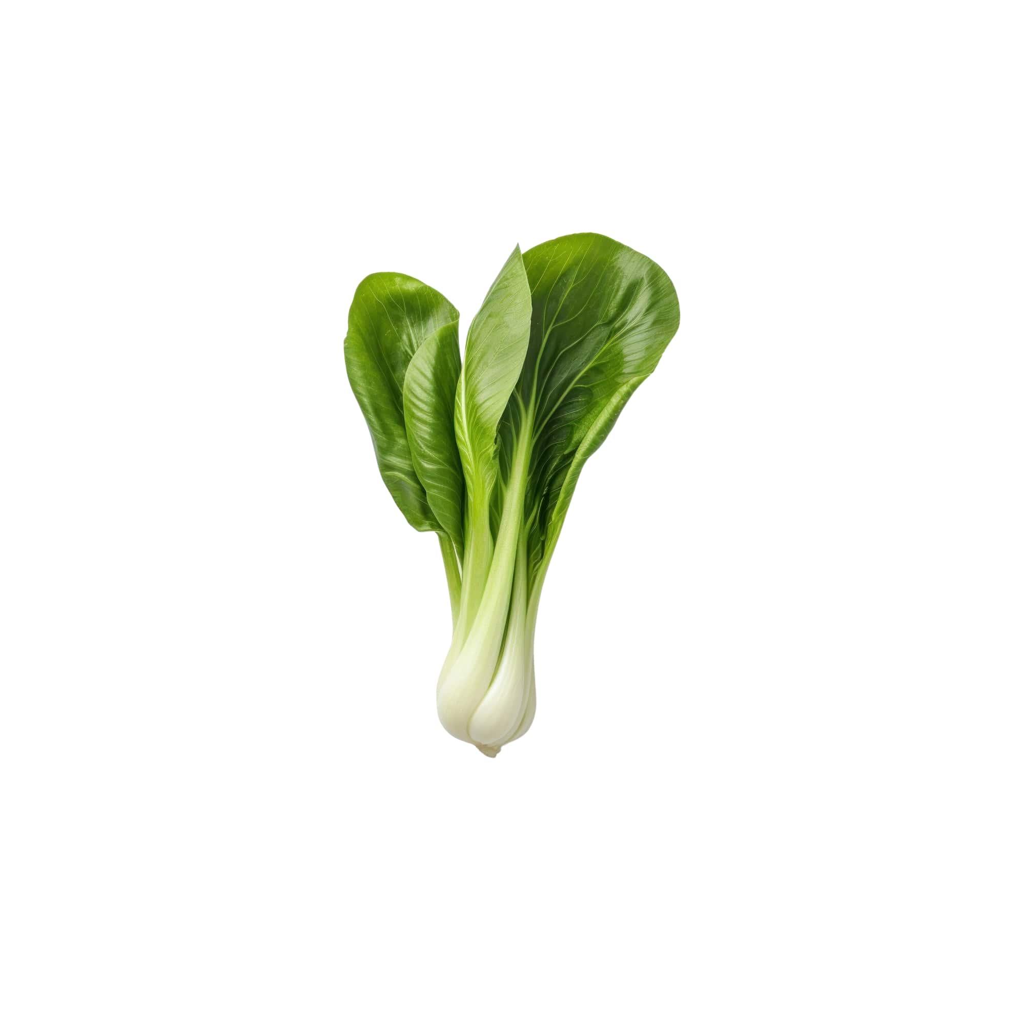 Baby Bok Choy, 1 bunch