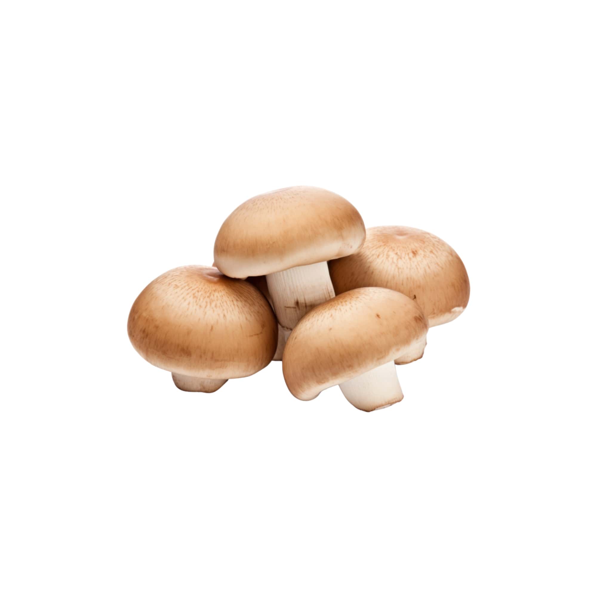 Brown Mushrooms (Cremini), 1 lb
