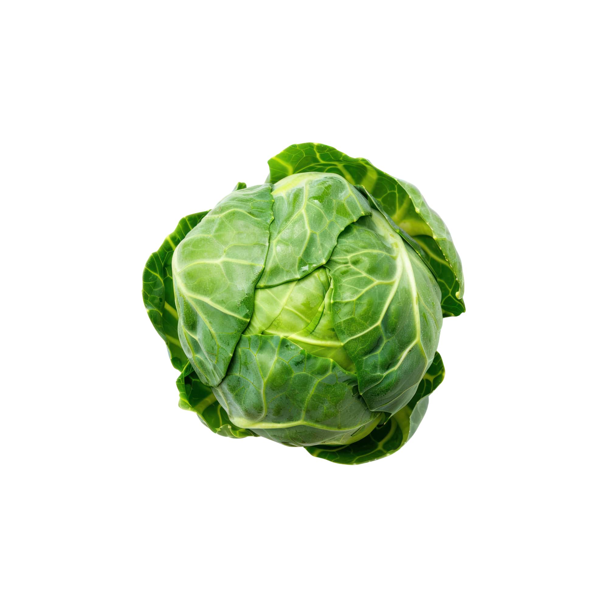 Fresh Garden Brussels Sprouts, 1 lb