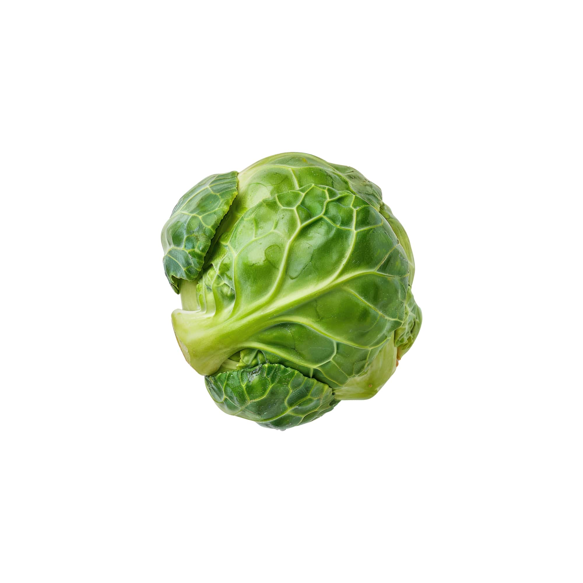 Fresh Garden Brussels Sprouts, 1 lb