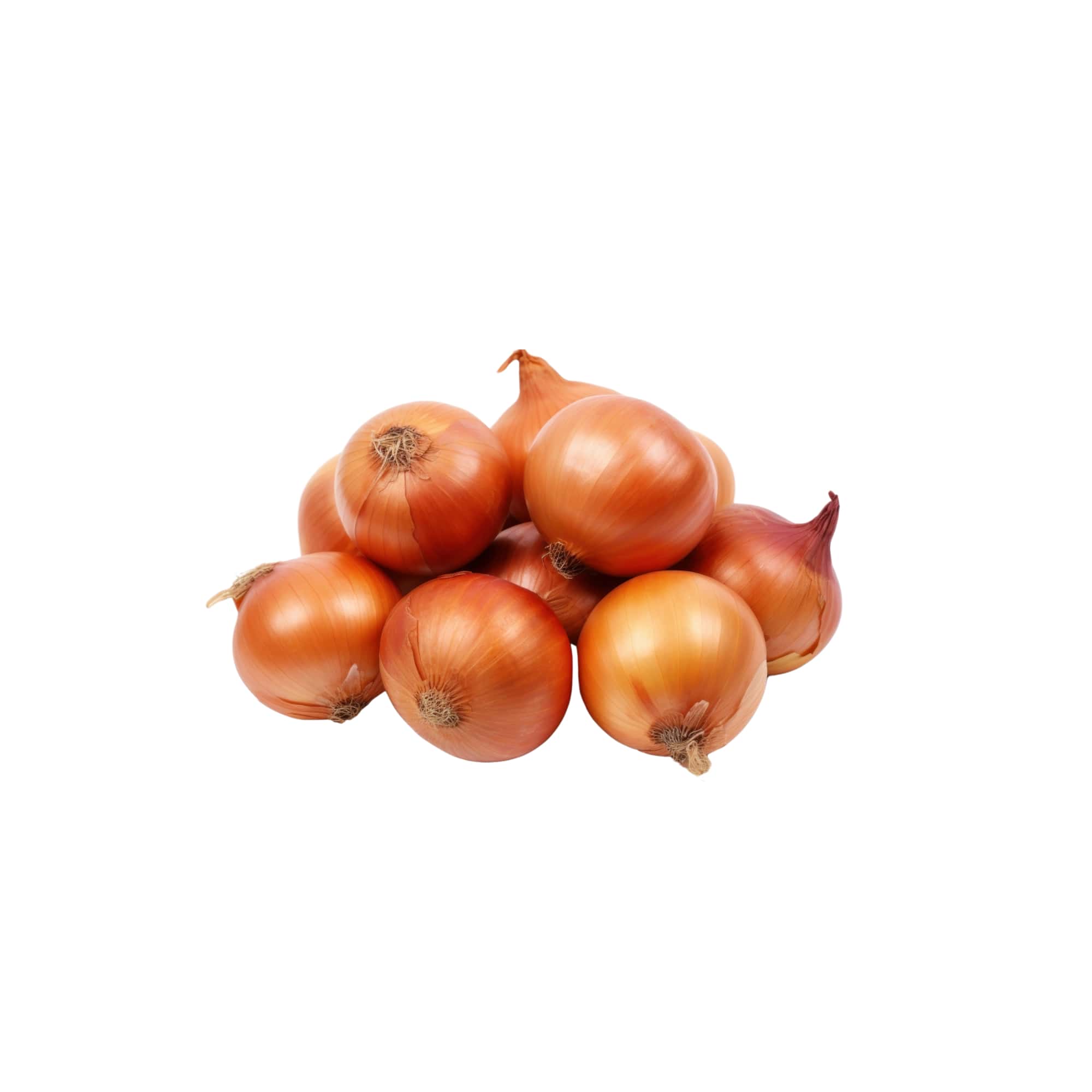 Rustic Farm Fresh Shallots, 1 lb