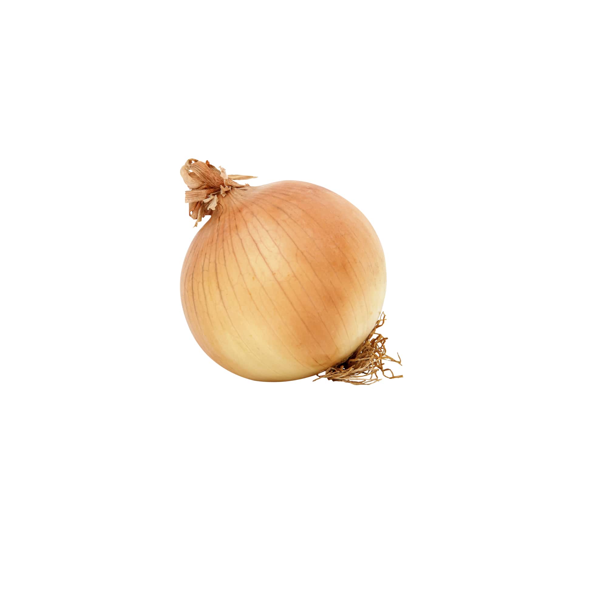 Rustic Farm Fresh Shallots, 1 lb