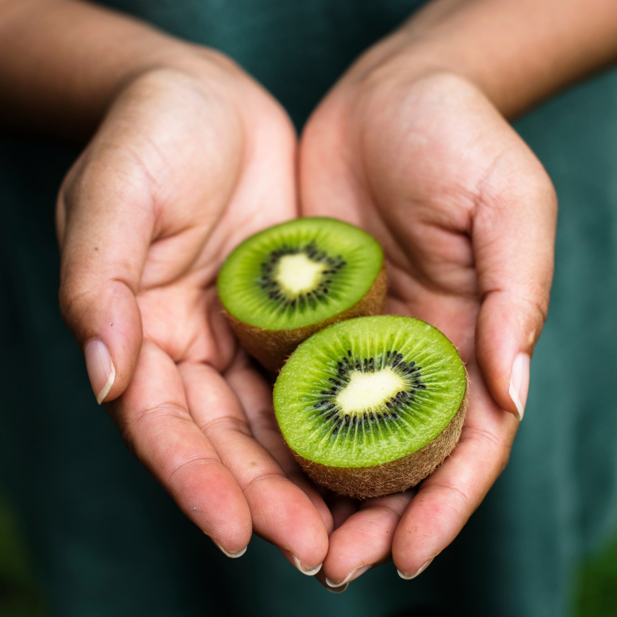 Tender Garden Kiwis, 1 lb