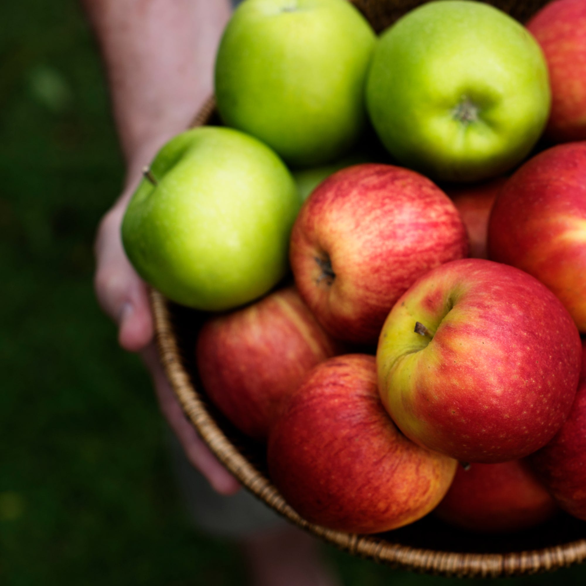 Juicy Garden Green Apples, 1 lb