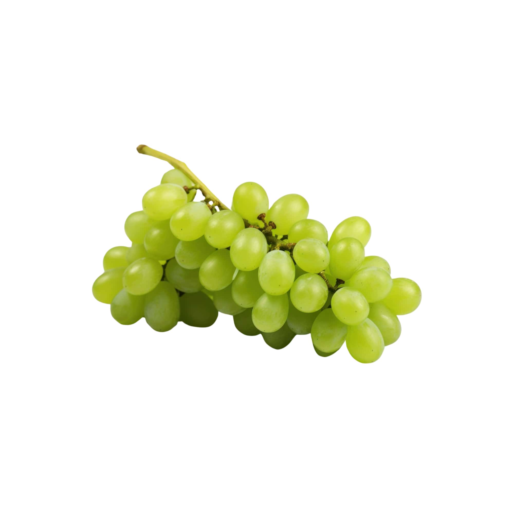 Tender Vineyard Green Grapes, 1 lb
