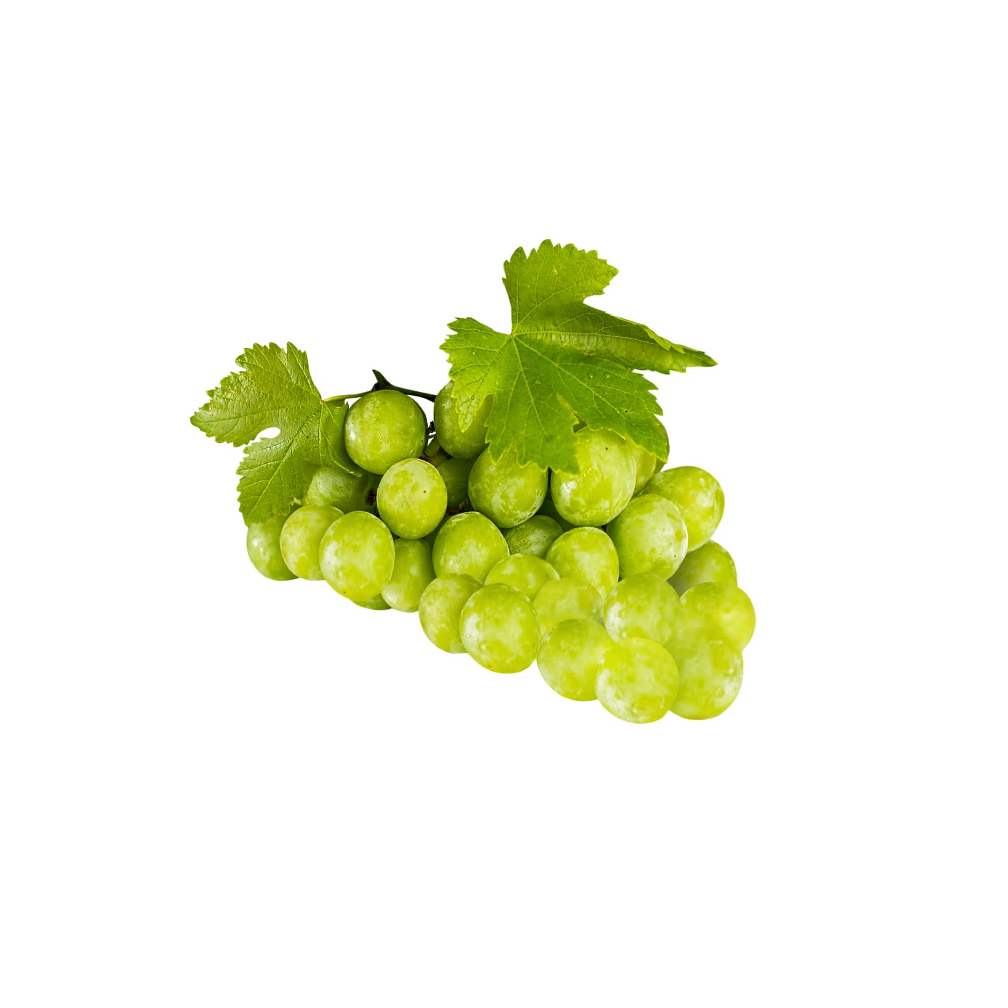 Tender Vineyard Green Grapes, 1 lb