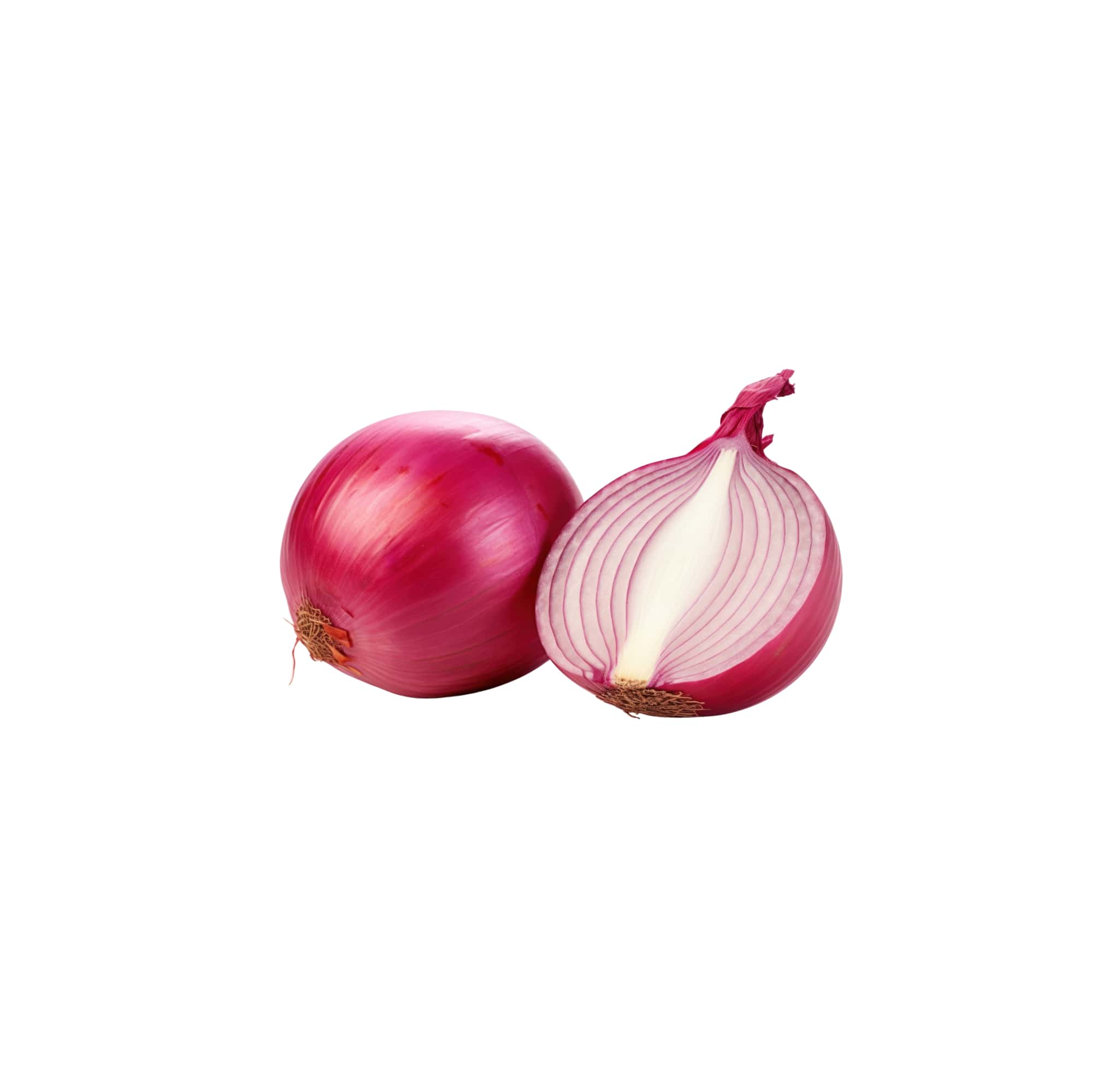 Crisp and Juicy Onion Bulbs, 1 lb