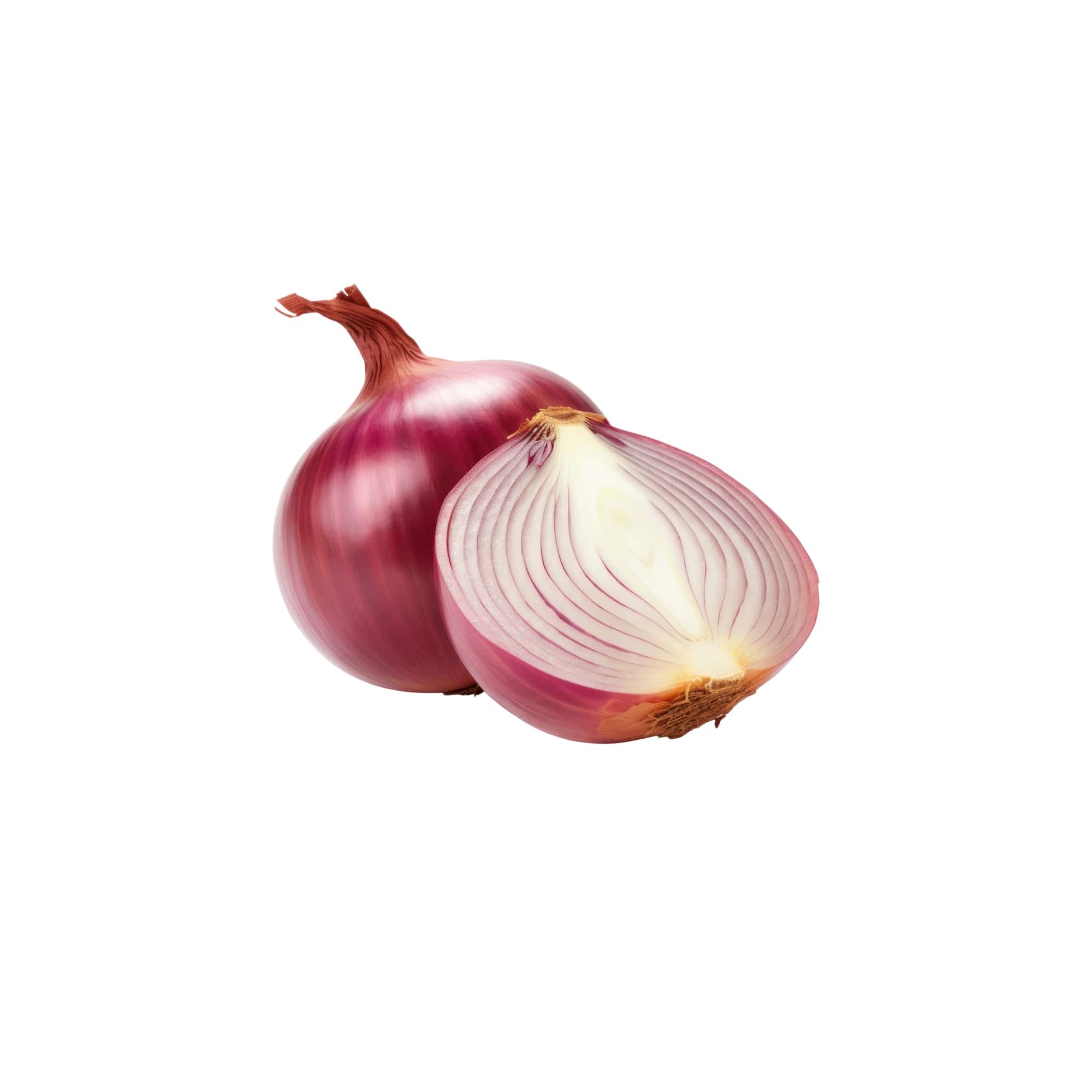 Crisp and Juicy Onion Bulbs, 1 lb