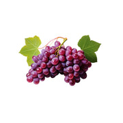 Tender Vineyard Purple Grapes, 1 lb