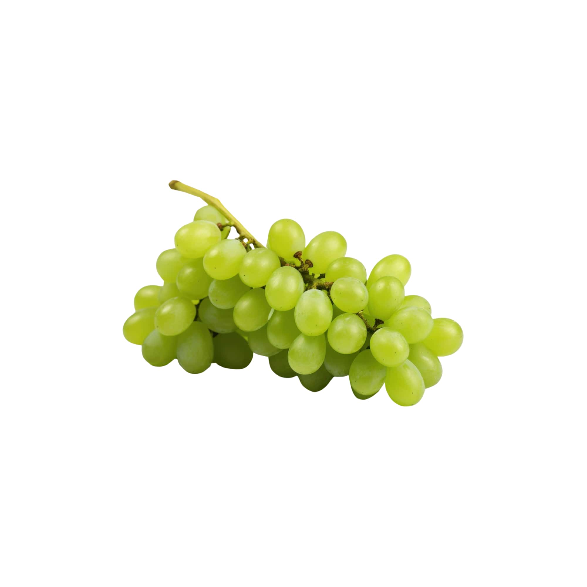 Tender Vineyard Purple Grapes, 1 lb