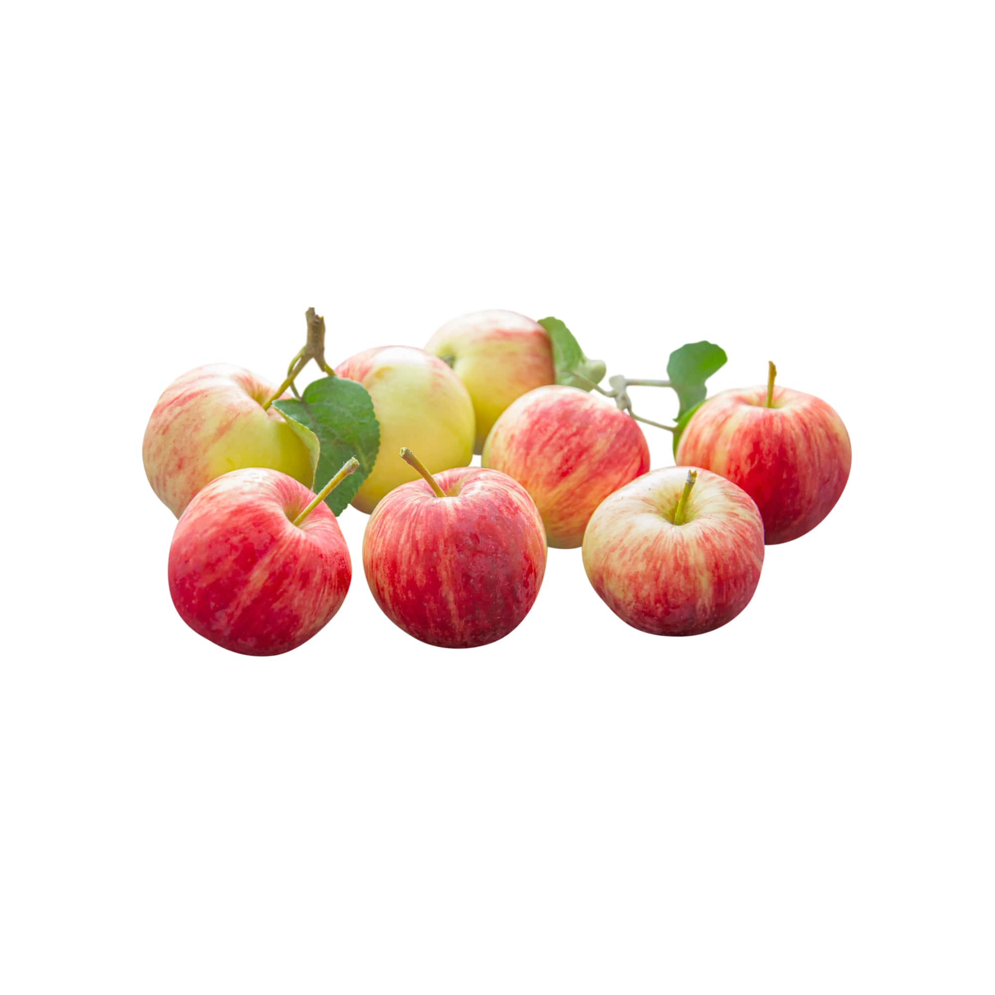 Crisp Fresh Red Apples, 1 lb