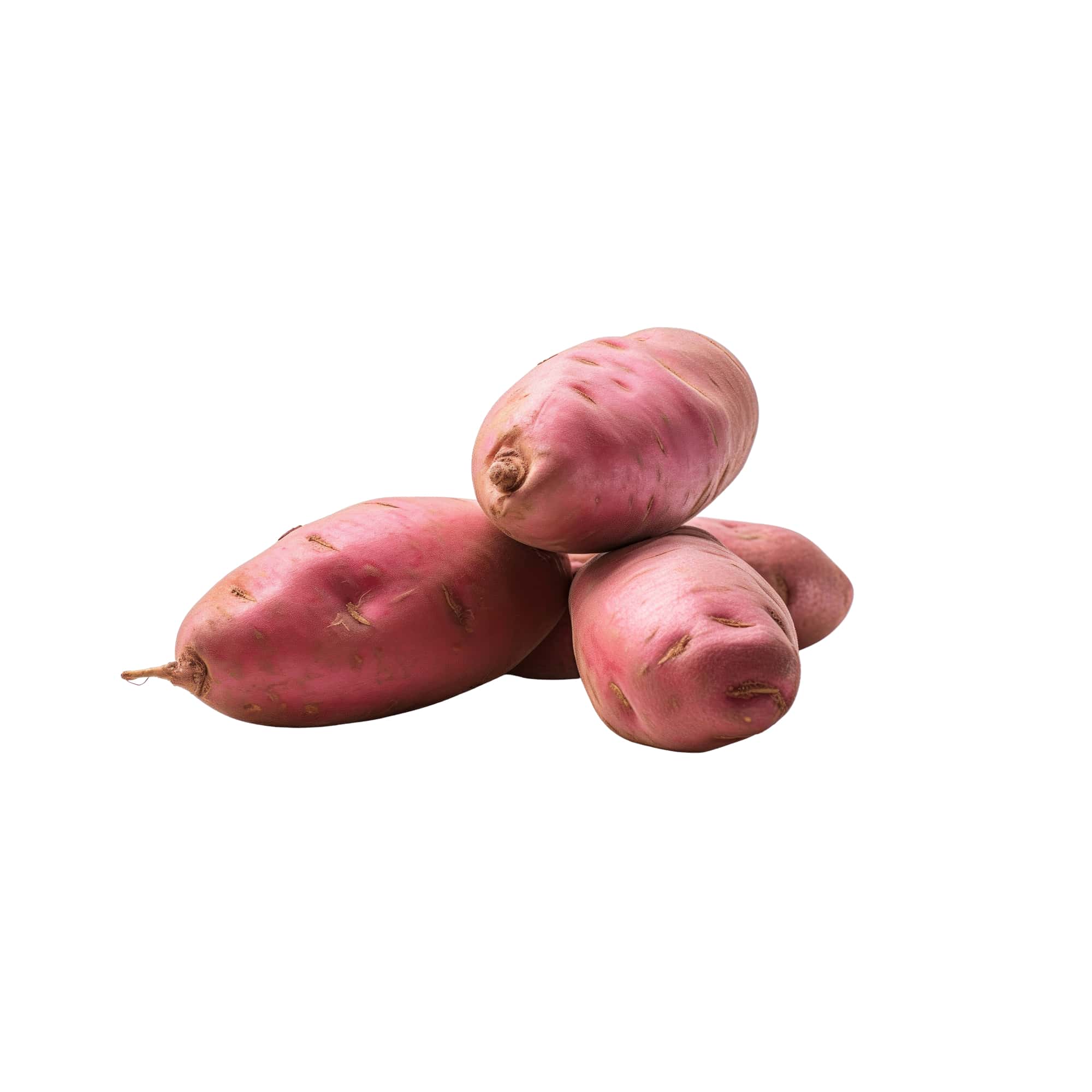 Freshly Dug Sweet Potatoes