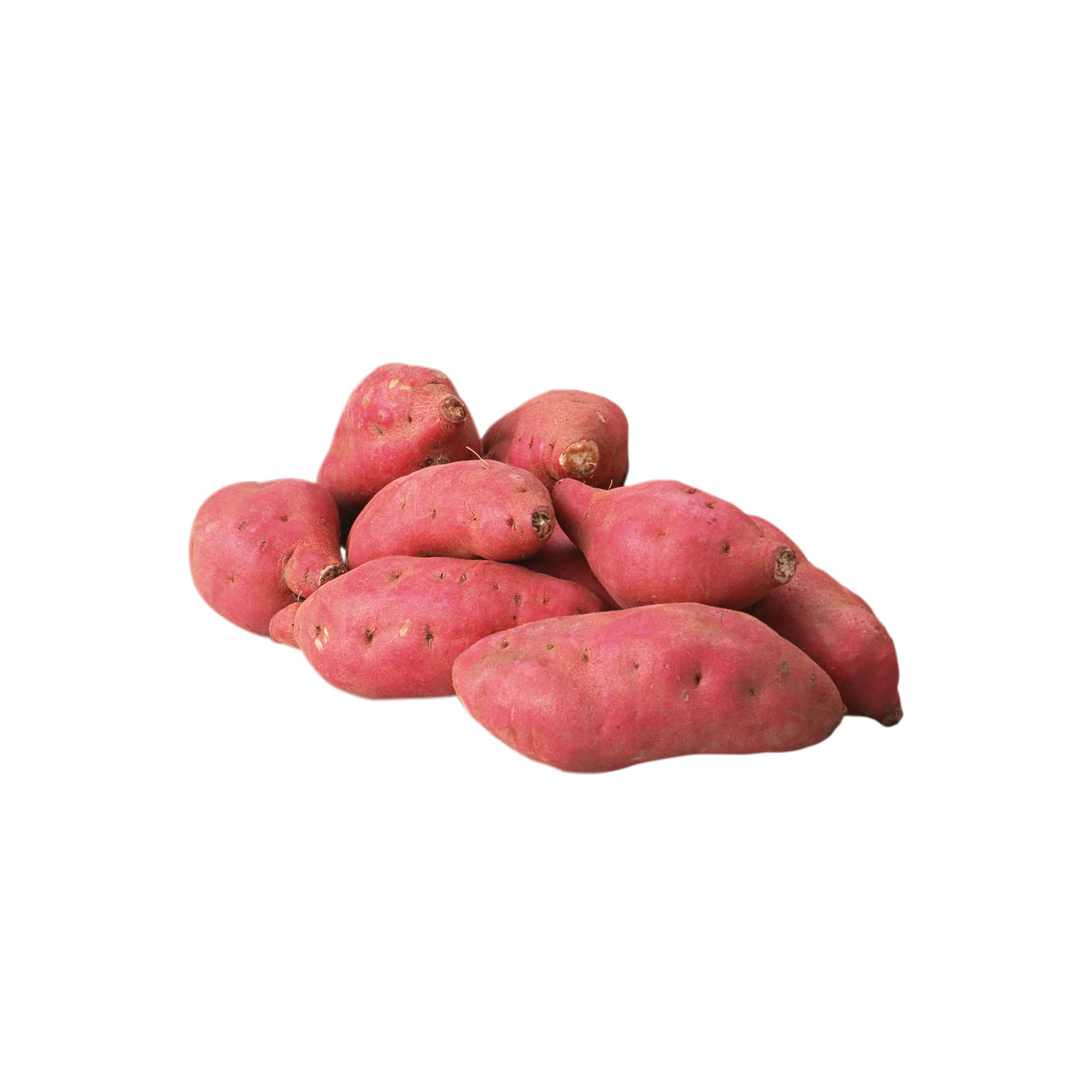 Freshly Dug Sweet Potatoes