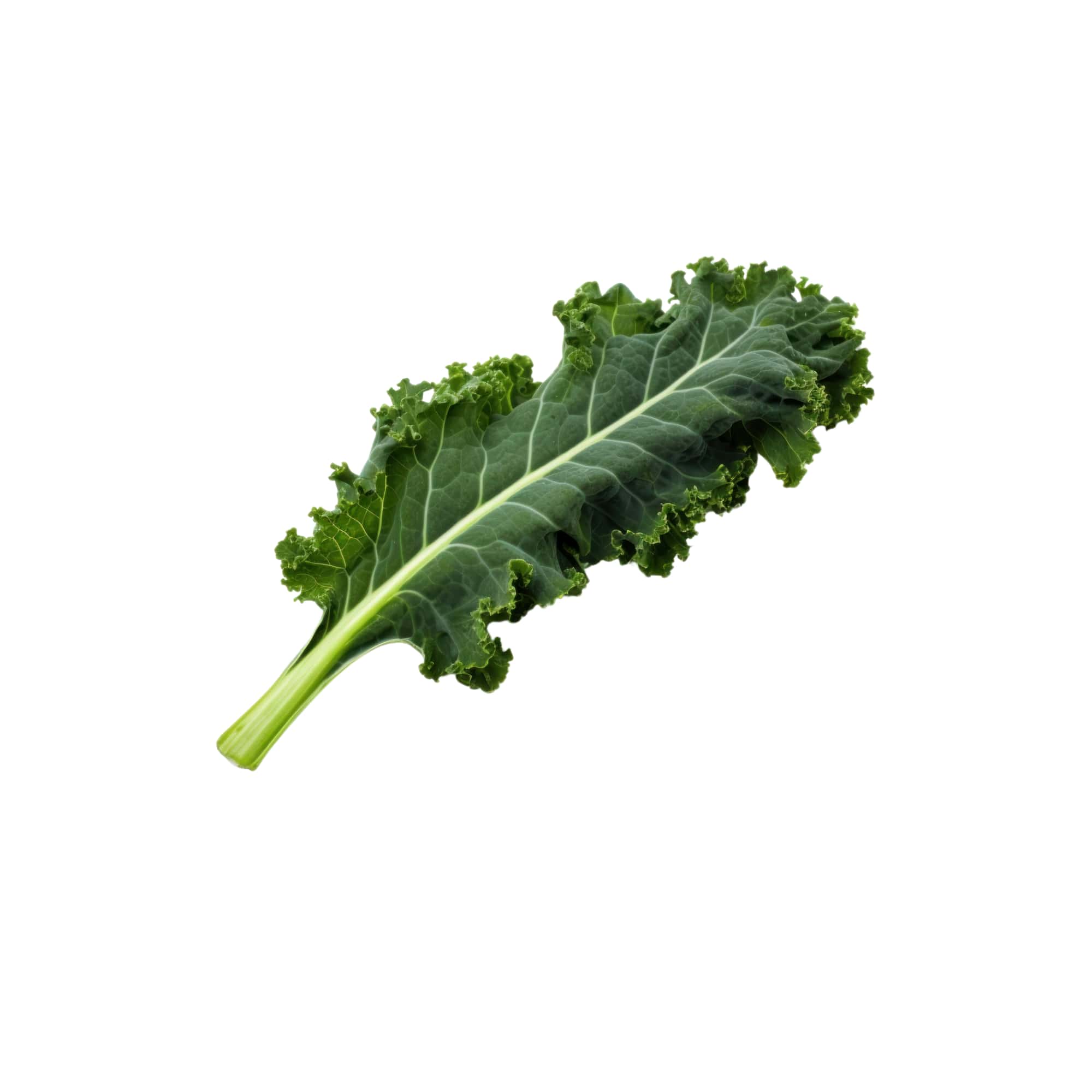 Tender Organic Kale Leaves, 1 pack