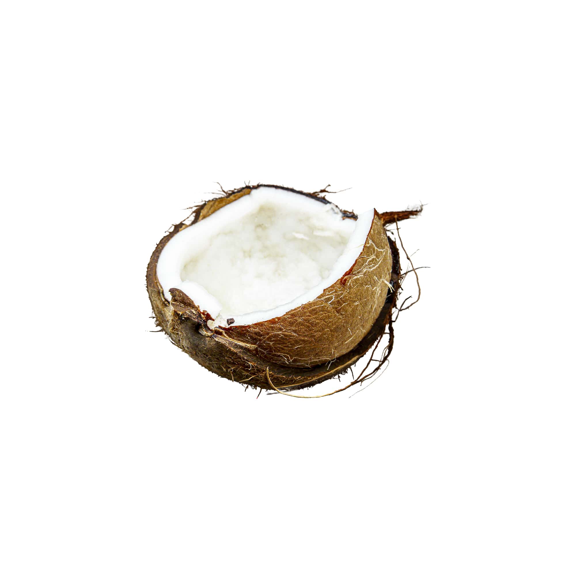 Fresh Tropical Coconut, 1 lb