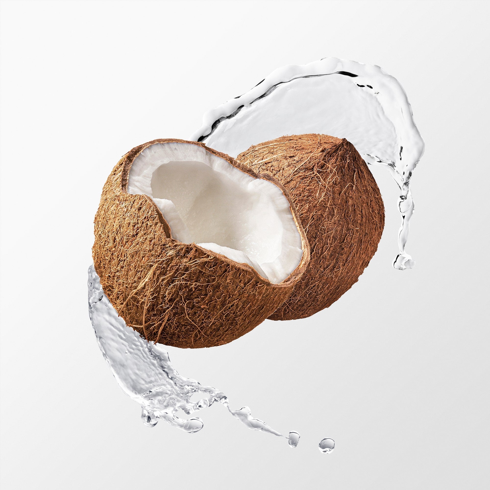 Fresh Tropical Coconut, 1 lb