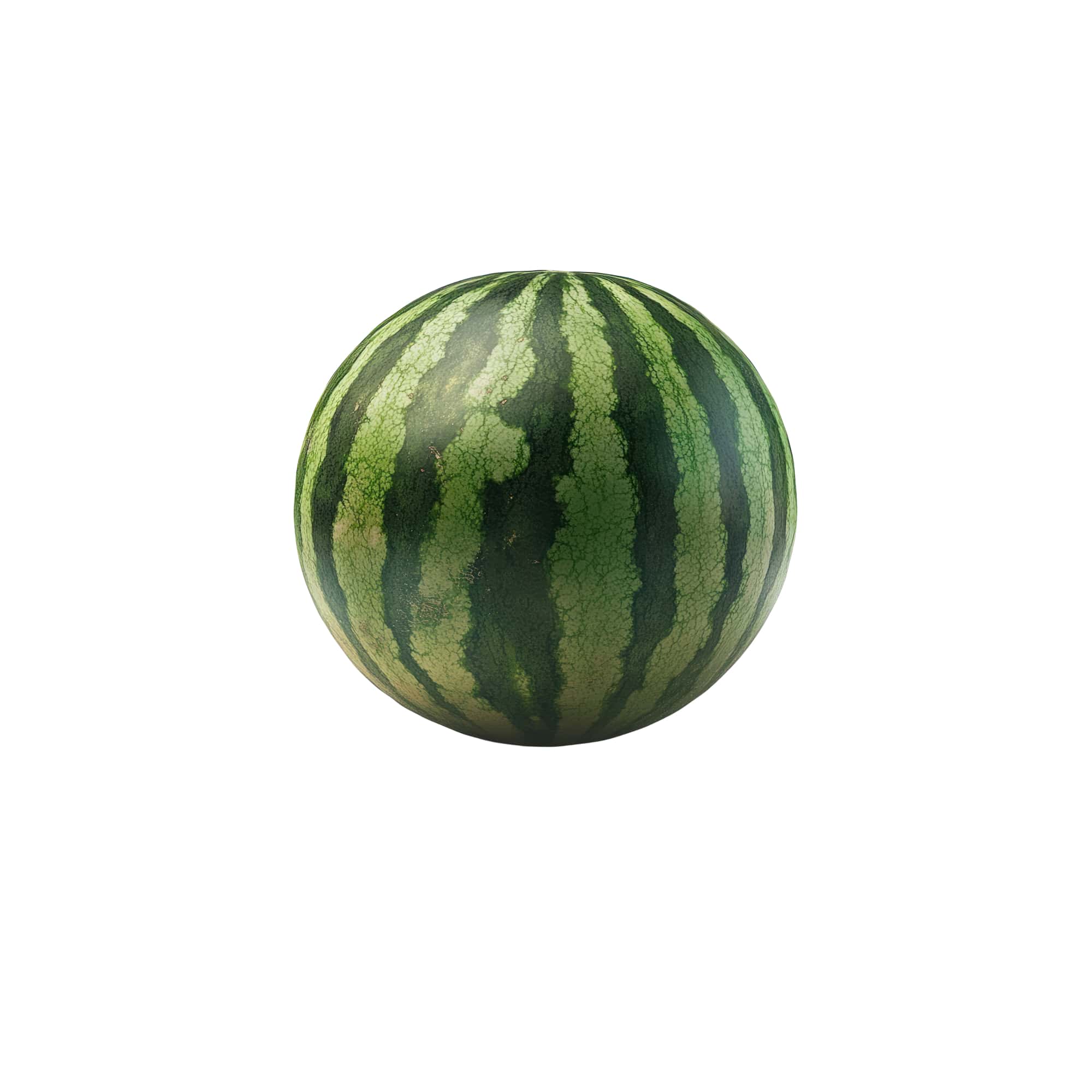 Fresh Harvested Watermelons, 1 lb