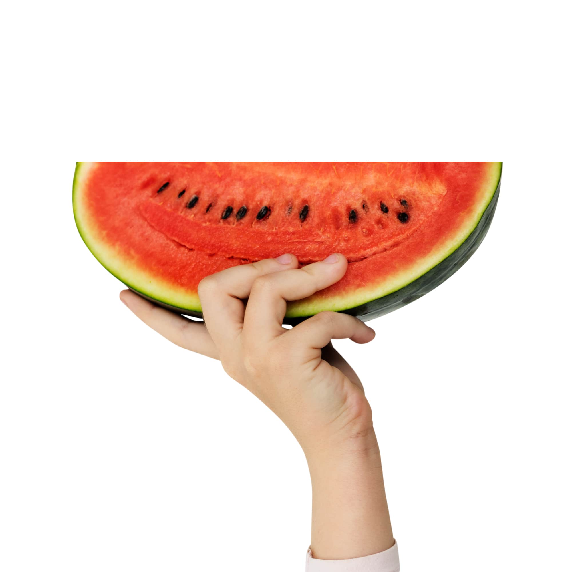 Fresh Harvested Watermelons, 1 lb