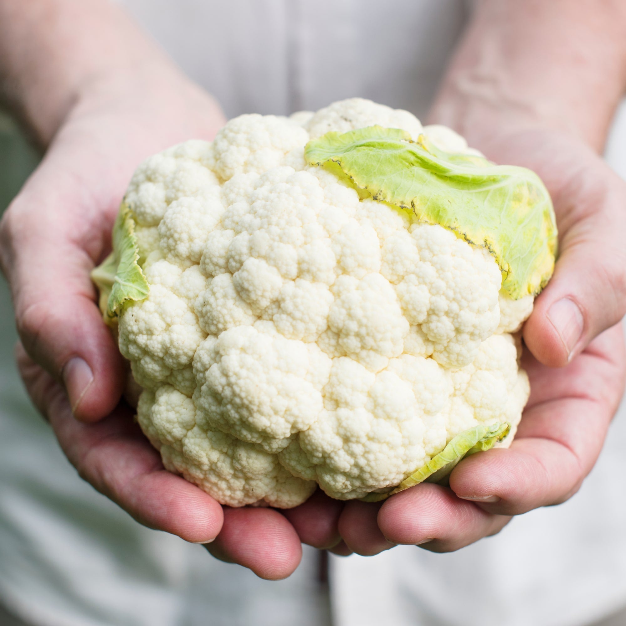 Golden White Cauliflower Florets, 1 lb